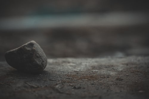 FAEDAH RINGAN SEPUTAR MEMBUNUH SEMUT