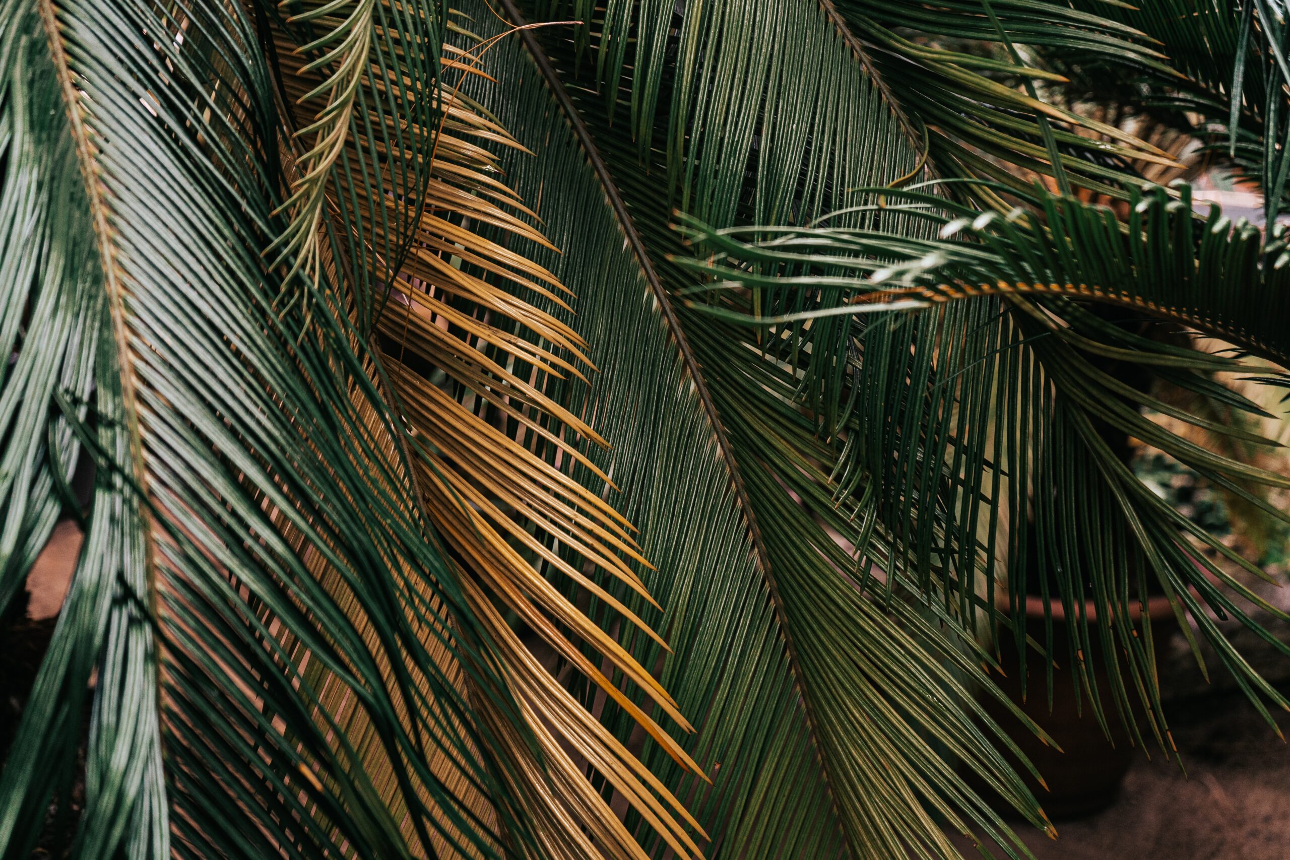 PENUTUP PEMBAHASAN HADITS 6 HAK MUSLIM