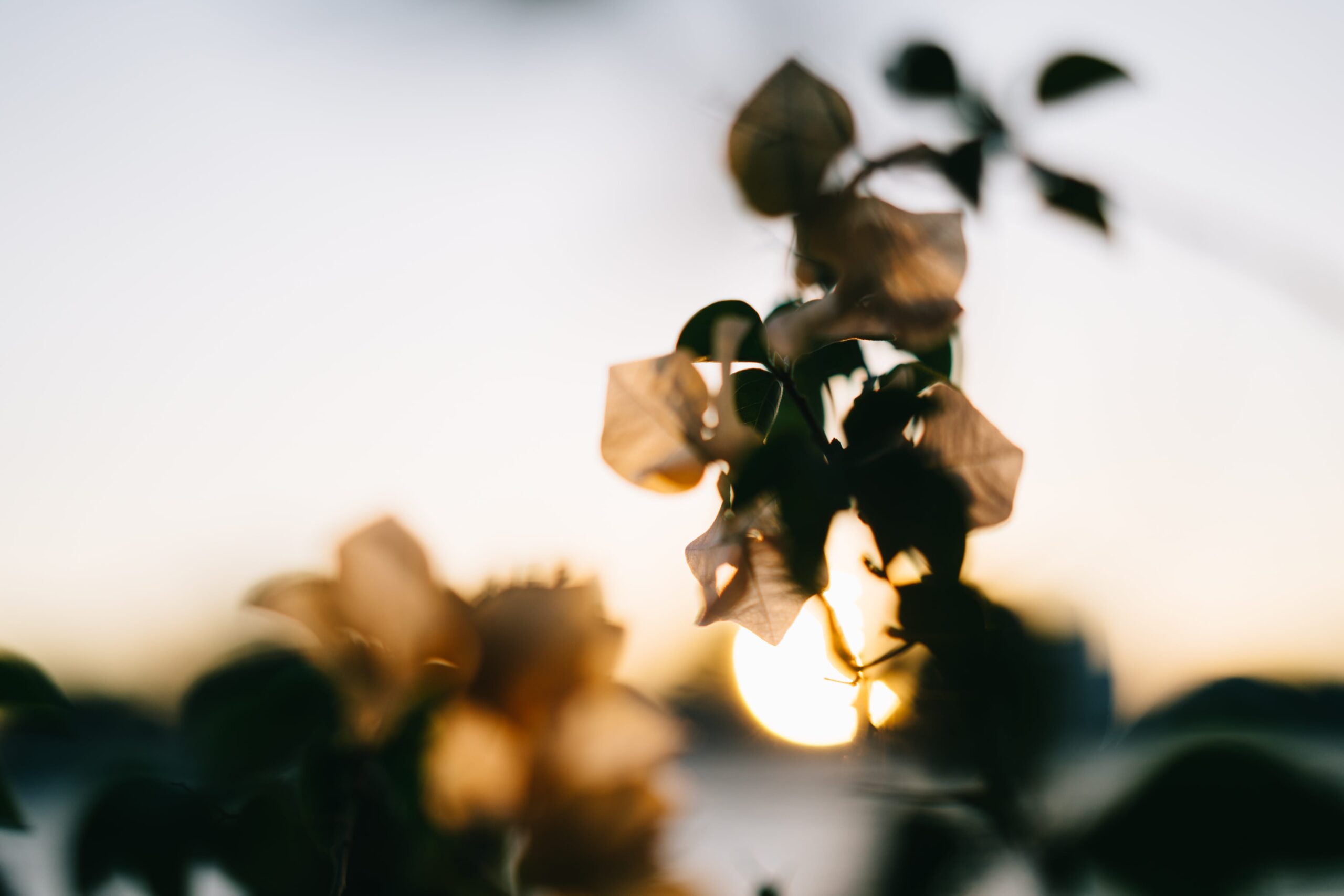 MERAIH AMPUNAN DENGAN DUA AMALAN RINGAN