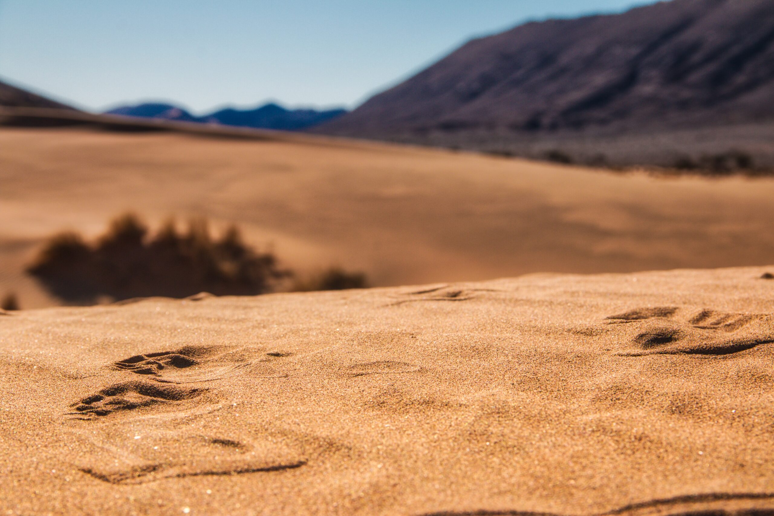 UDZUR YANG MEMBOLEHKAN UNTUK TAYAMMUM Bag.2